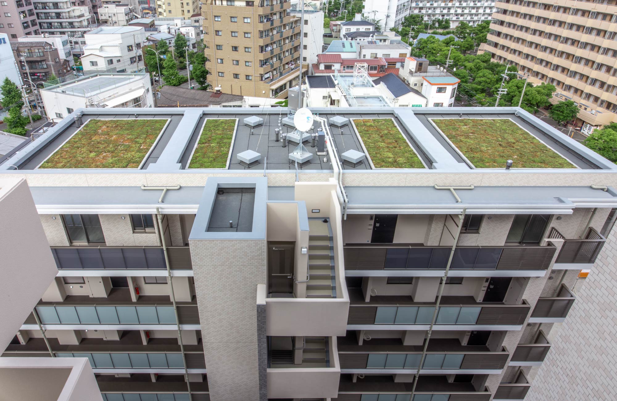 コンフォートヴィラ棟 屋上緑化